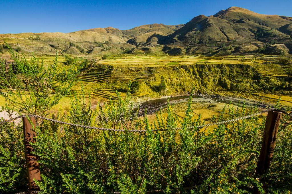 Eco Inn Colca Yanque Luaran gambar