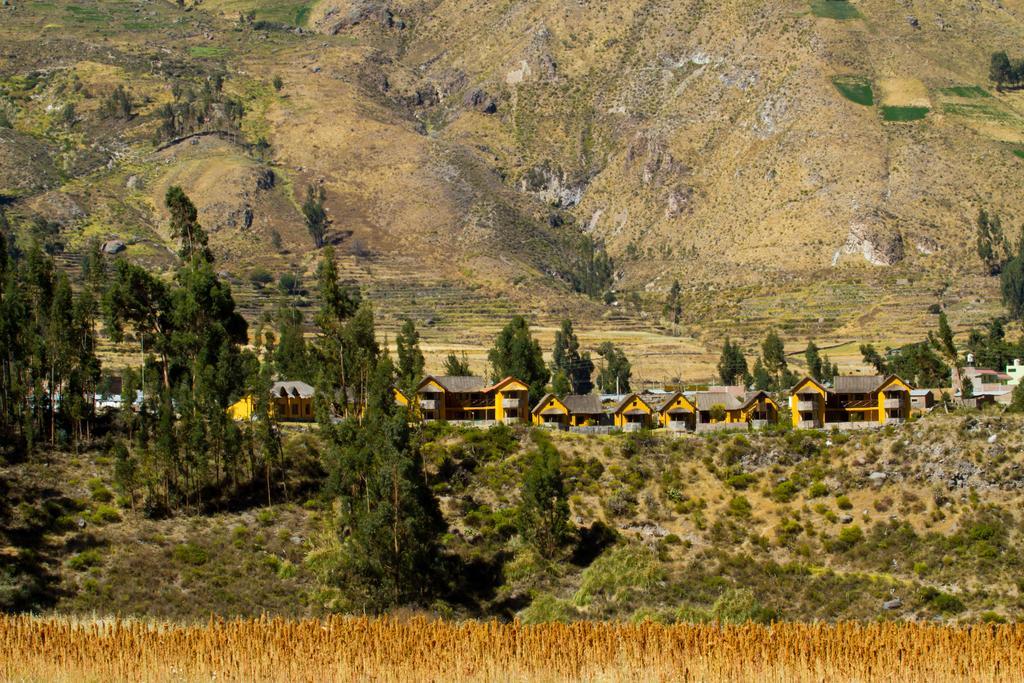 Eco Inn Colca Yanque Luaran gambar