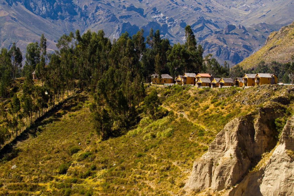 Eco Inn Colca Yanque Luaran gambar