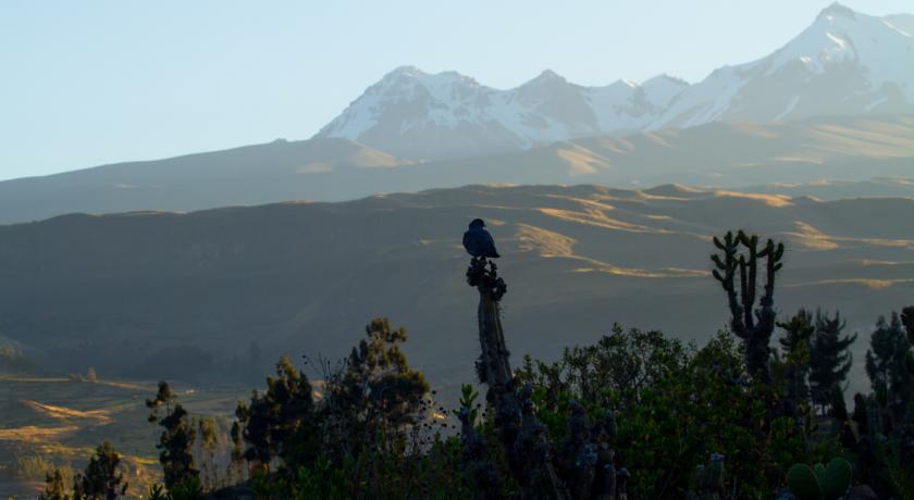 Eco Inn Colca Yanque Luaran gambar
