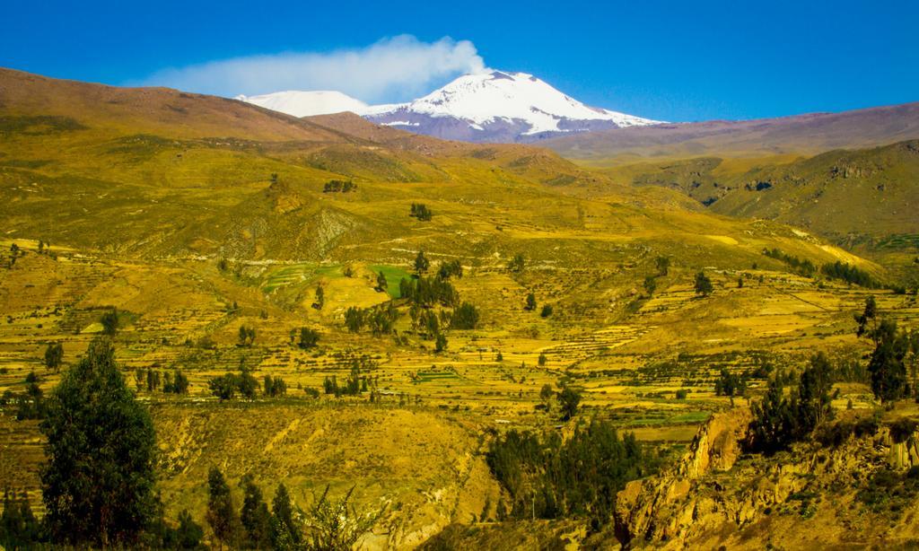 Eco Inn Colca Yanque Luaran gambar