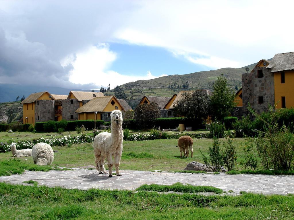 Eco Inn Colca Yanque Luaran gambar